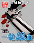 《网游之一枪飙血》（校对版全本）作者：边城 浪子 封面